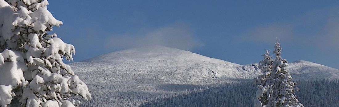 Montagnes enneigées en Gaspésie